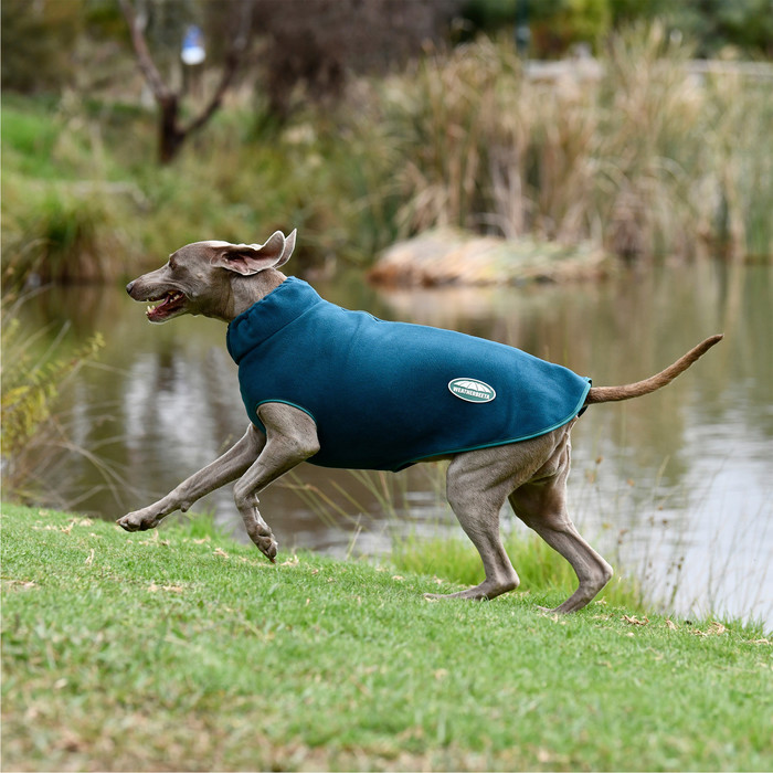 2023 Weatherbeeta GreenTec Fleece Zip Dog Coat 1021808 Dragonfly